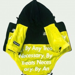 DOG FACE VODOODPORNI PLAŠČ