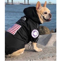 DOG FACE VODOODPORNI PLAŠČ