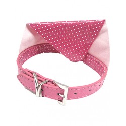 Rutka polka roza