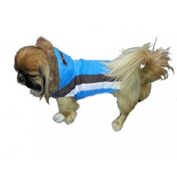 Zimska bunda Bei modra