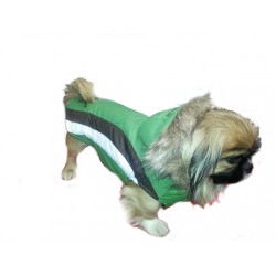 Zimska bunda Bei zelena