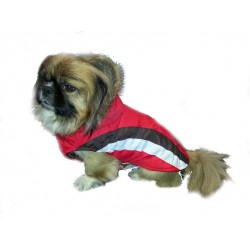 Zimska Bei bunda rdeče