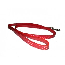 Polka povodec rdeča